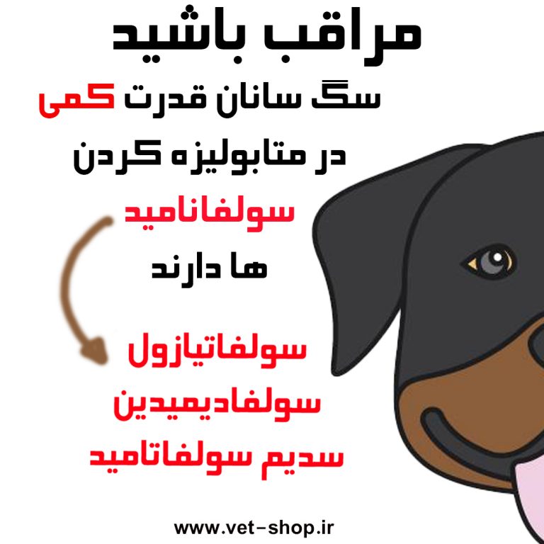 canine.solfanamid_01