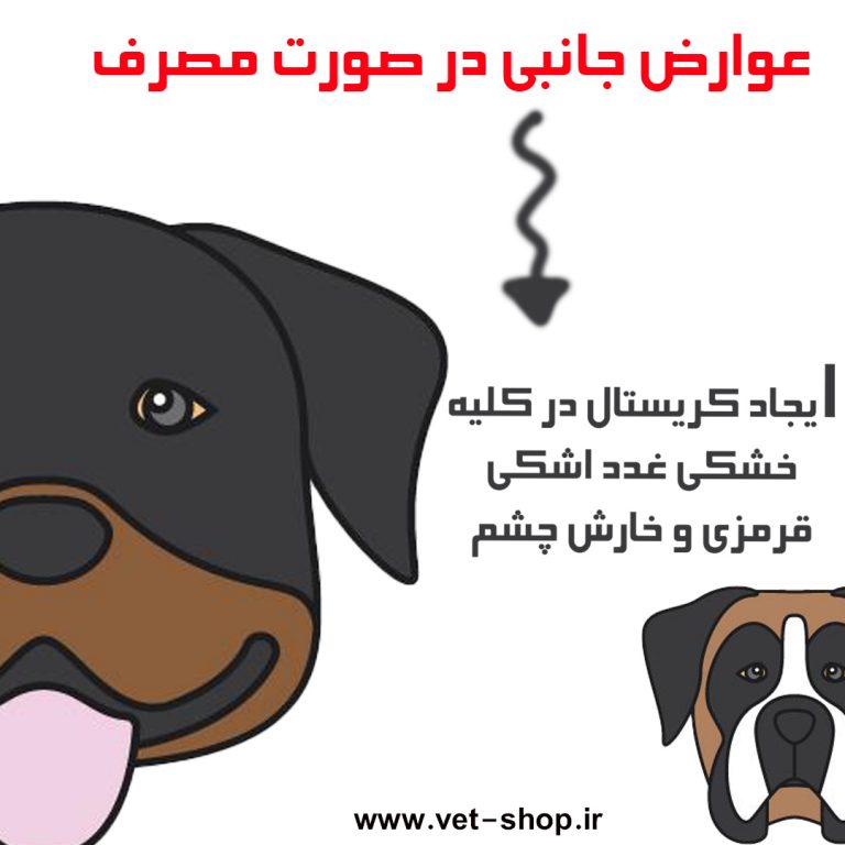 canine.solfanamid_02